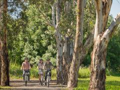 Amazing Winter eBike Special | Simple Pleasures of McLaren Vale