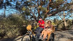 Guided McLaren Vale e-TukTuk Wine Tour, from Adelaide