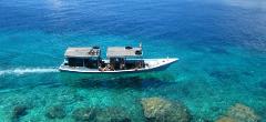 Fun Diving Menjangan Island (4X Dives)