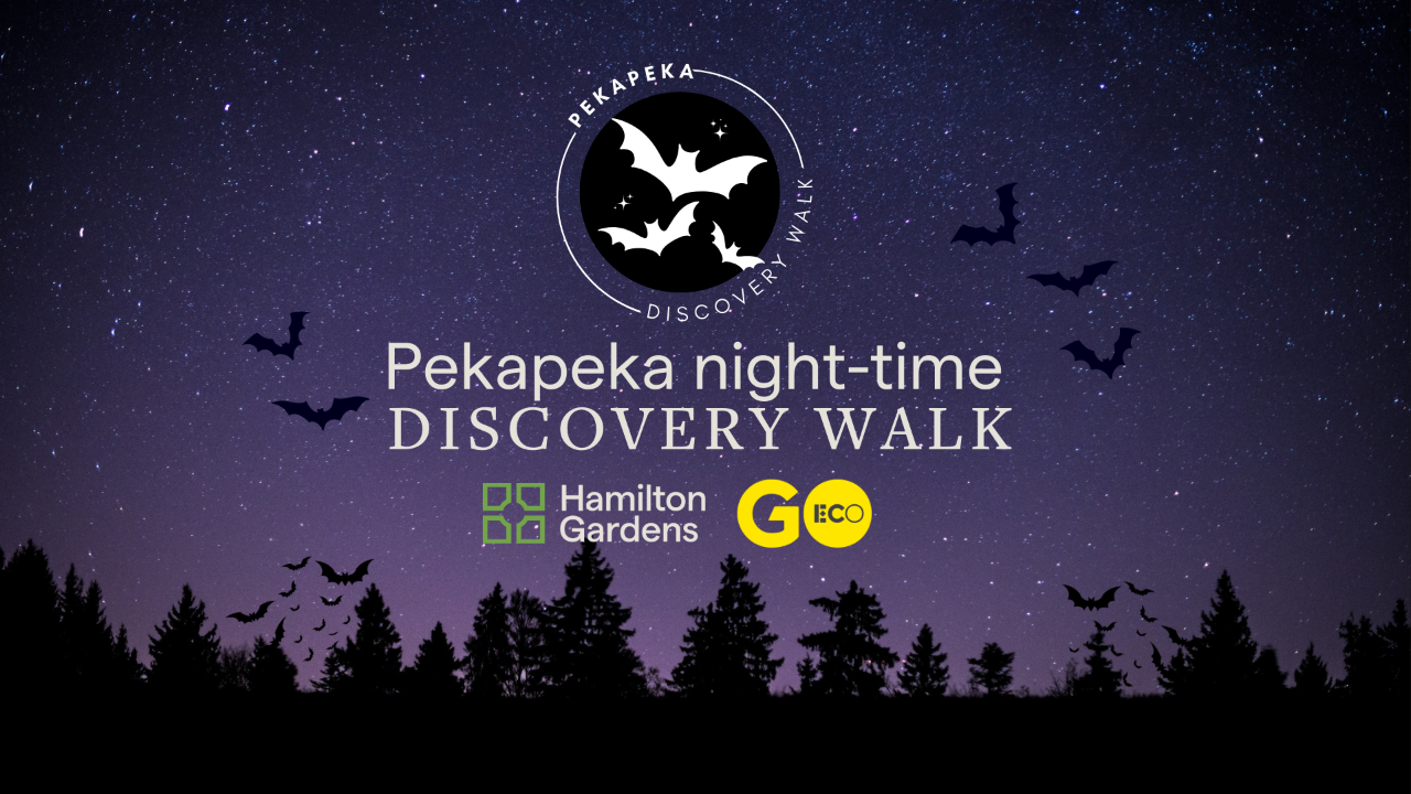 Pekapeka Night Time Discovery Walk Hamilton Gardens Reservations