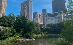 New York City Central Park Exploration Game