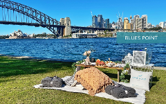 Luxury Private Picnic Experience - Blues Point