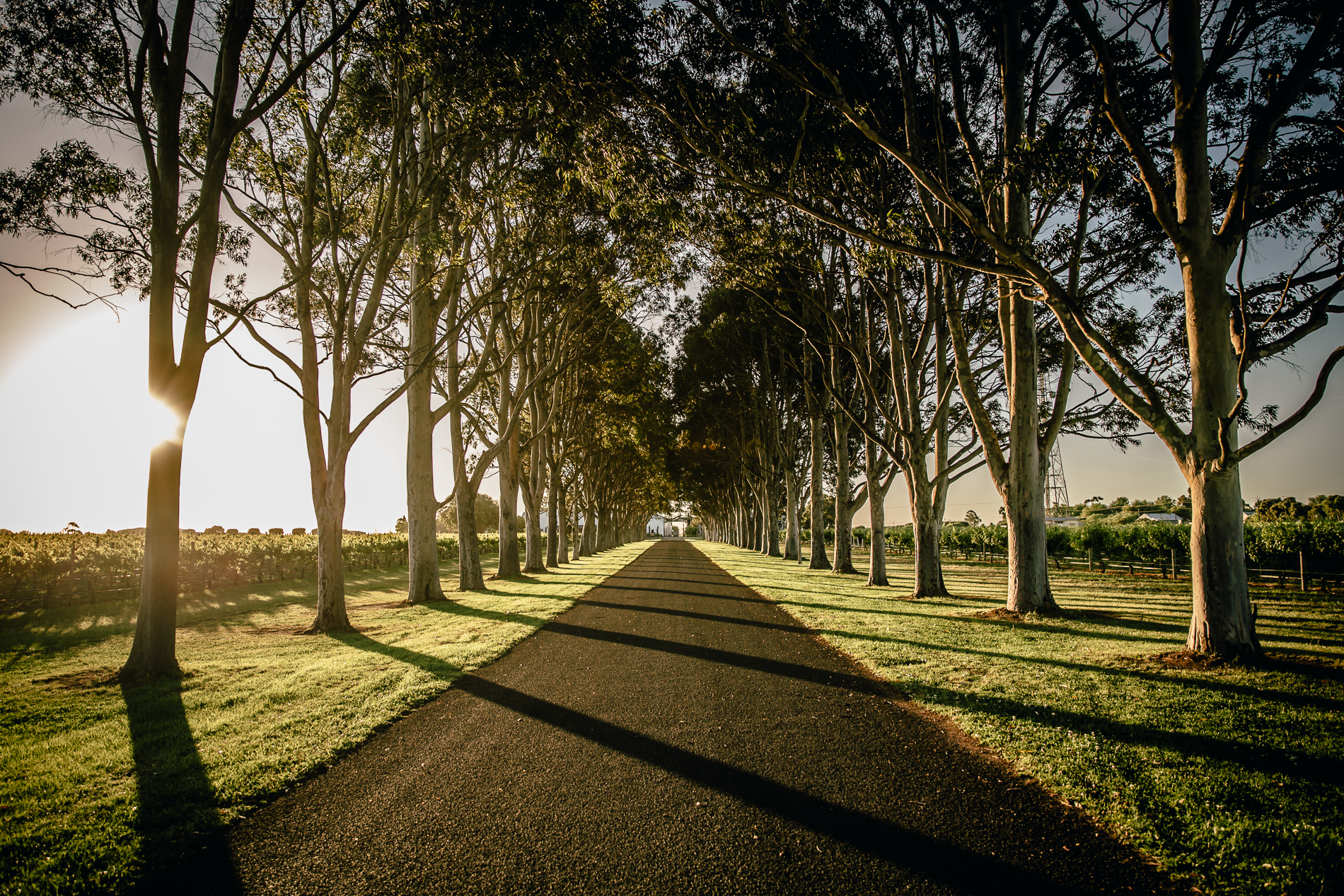 Tour and Private Tasting