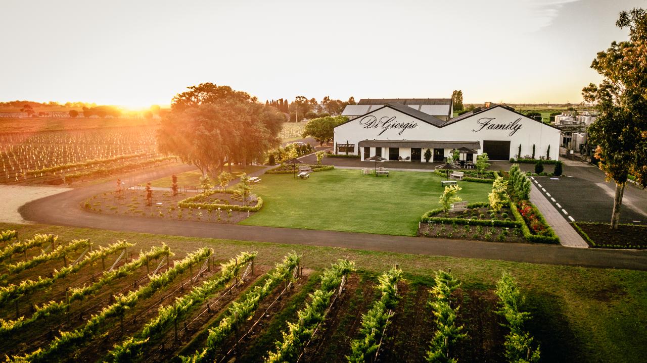 Cellar Door Wine Tasting-Beachport Winery Tours