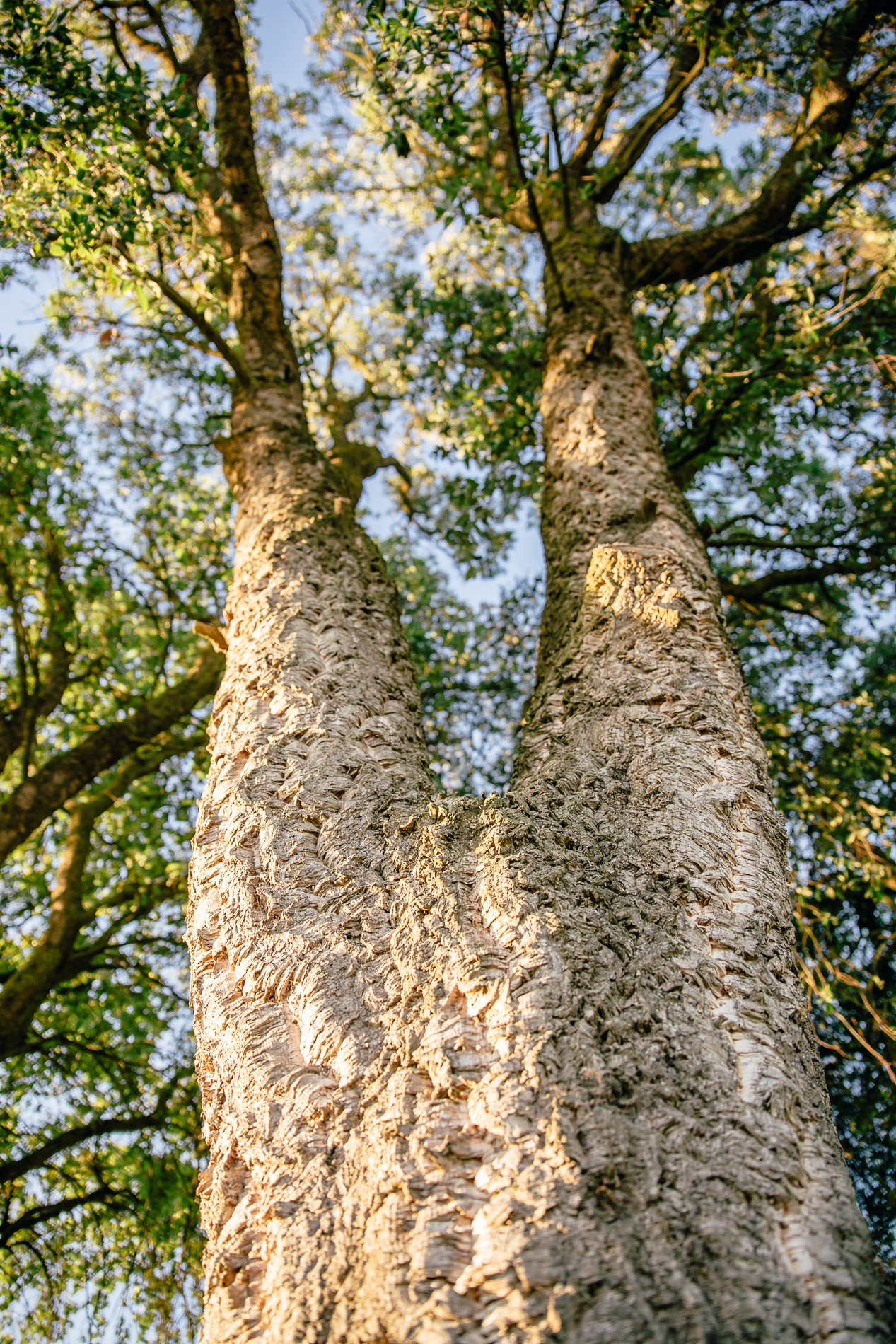 Tour and Private Tasting