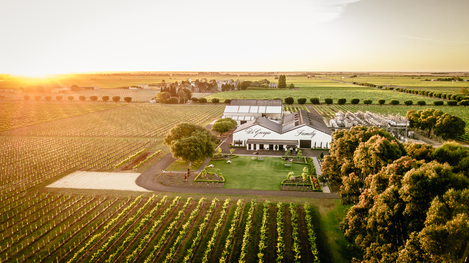 Tour and Private Tasting