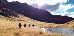 7-day Bushcraft Course - OENZ