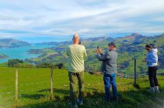 Akaroa & Banks Peninsula small group shore excursion from Lyttelton