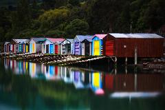 Private guided tour of Akaroa & Banks Peninsula from Christchurch (or Lyttelton as a Shore Excursion)