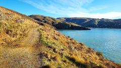 Private Half-Day Godley Head Guided Tour- from Christchurch