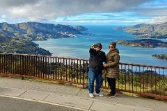 Half-Day Christchurch Scenic Highlights Small Group Tour