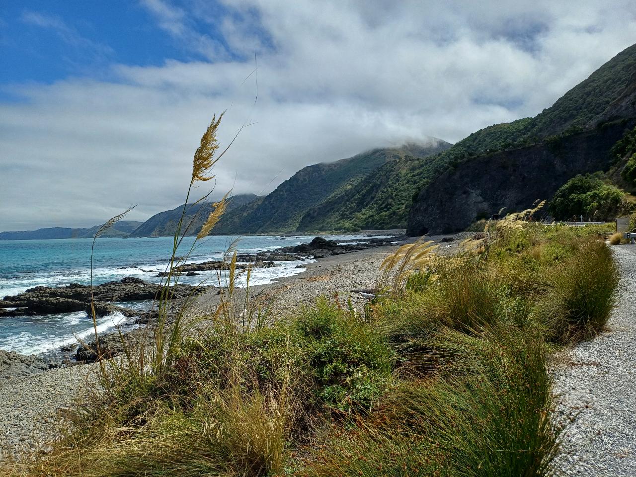 Kaikōura small group tour from Christchurch 