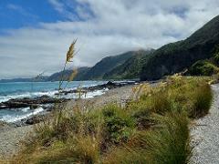 Kaikōura small group tour from Christchurch 