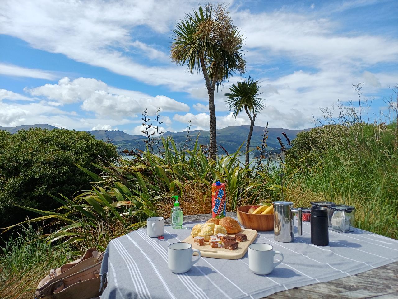 Half-Day Christchurch Scenic Highlights Shore Excursion