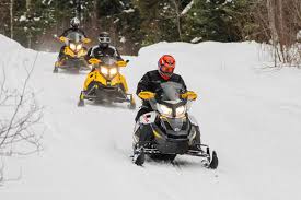 4 Hour Self Guided Snowmobile Tour (double rider)