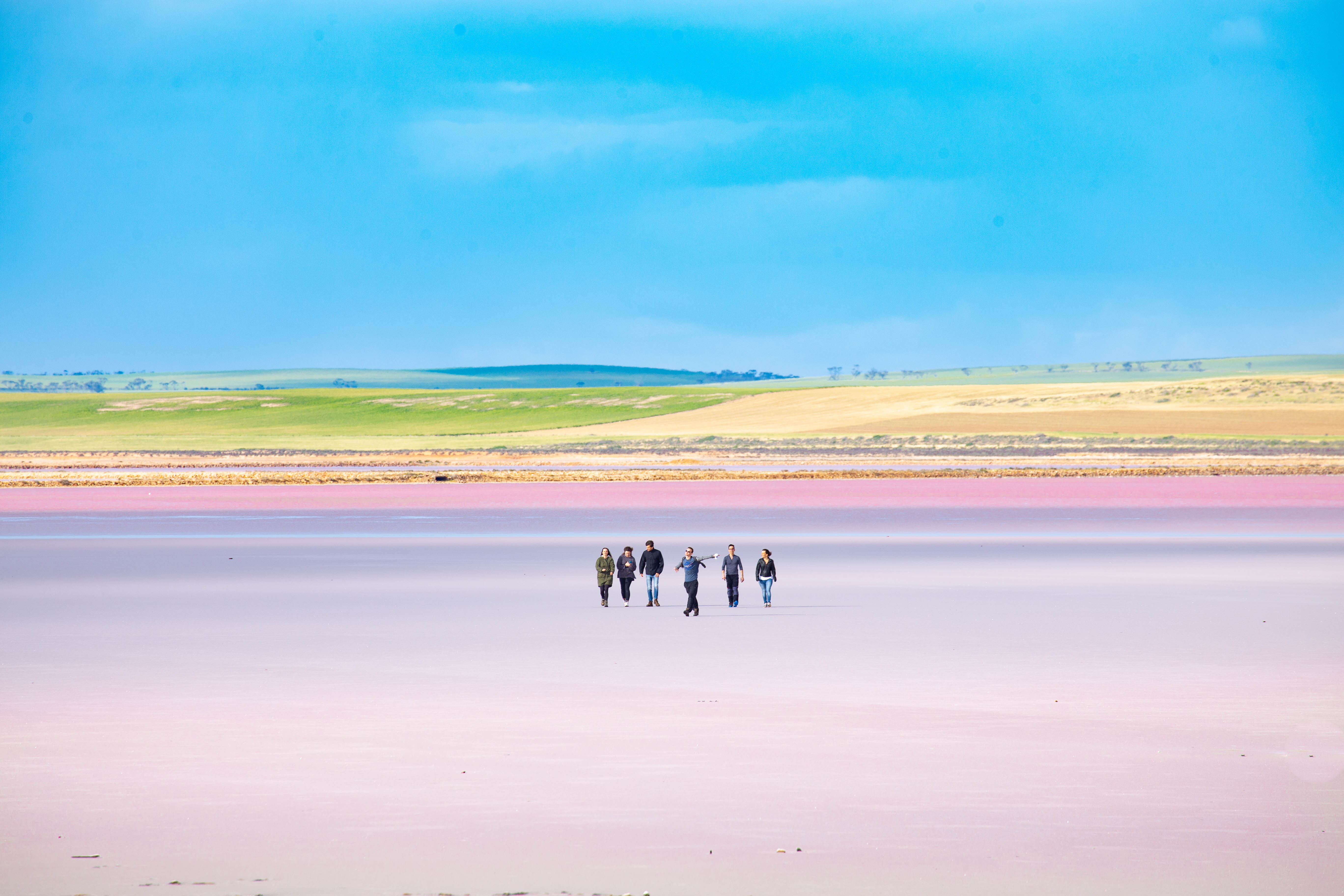 嘉利谷深度体验游 | 美酒秘境 （四人成行）