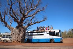 DARWIN to BROOME 14 Day Tour - Hotel on Wheels - Bus + 4WD