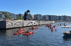 Akerselva River Kayak Tour - Private Group 