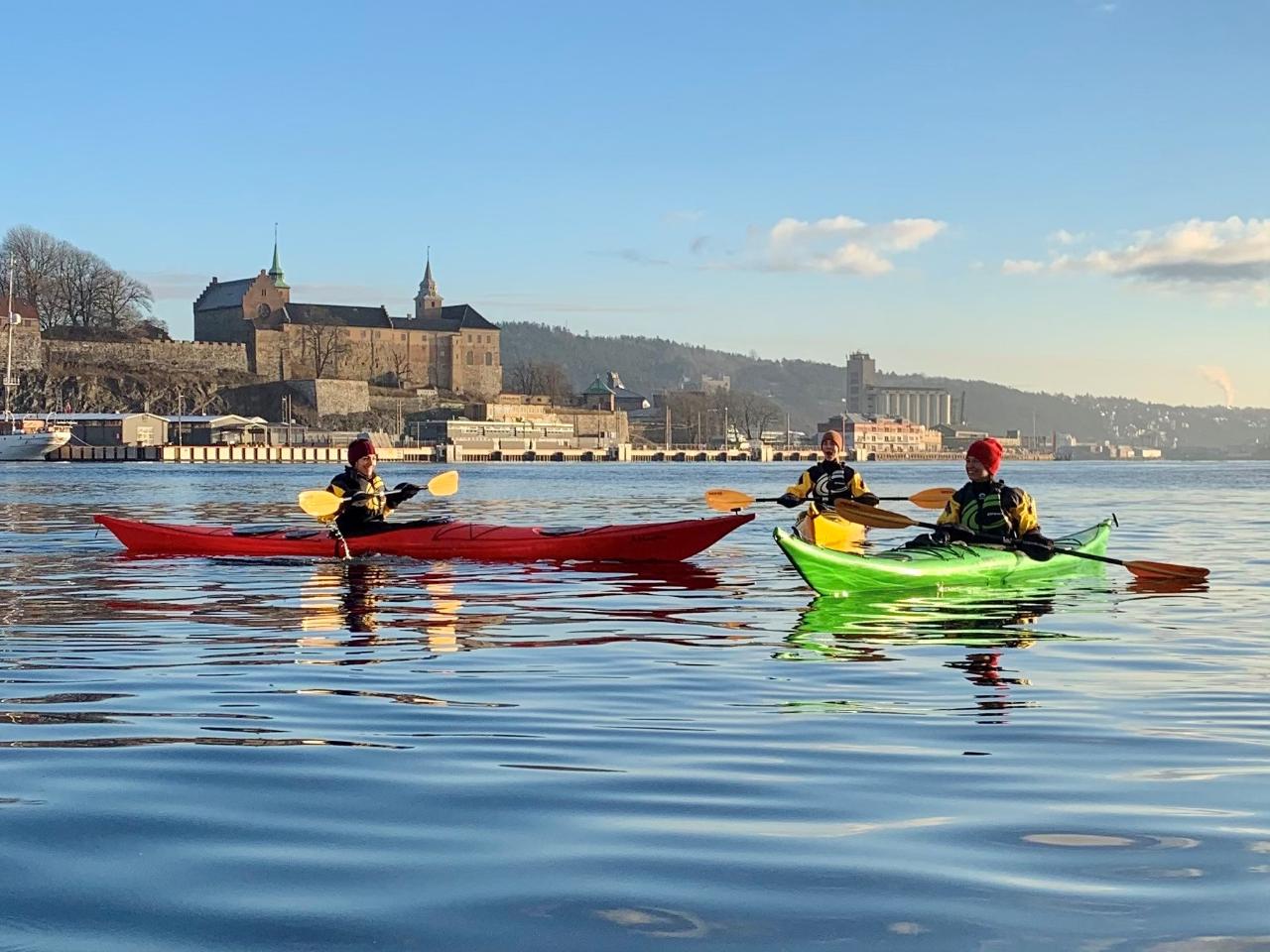 Winter Kayak Tour on Oslo Fjord - Tjuvholmen, Oslo 