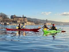 Winter Kayak Tour on Oslo Fjord - Tjuvholmen, Oslo 