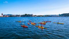 Oslo Fjord Kayak Tour – Fjord City - Private