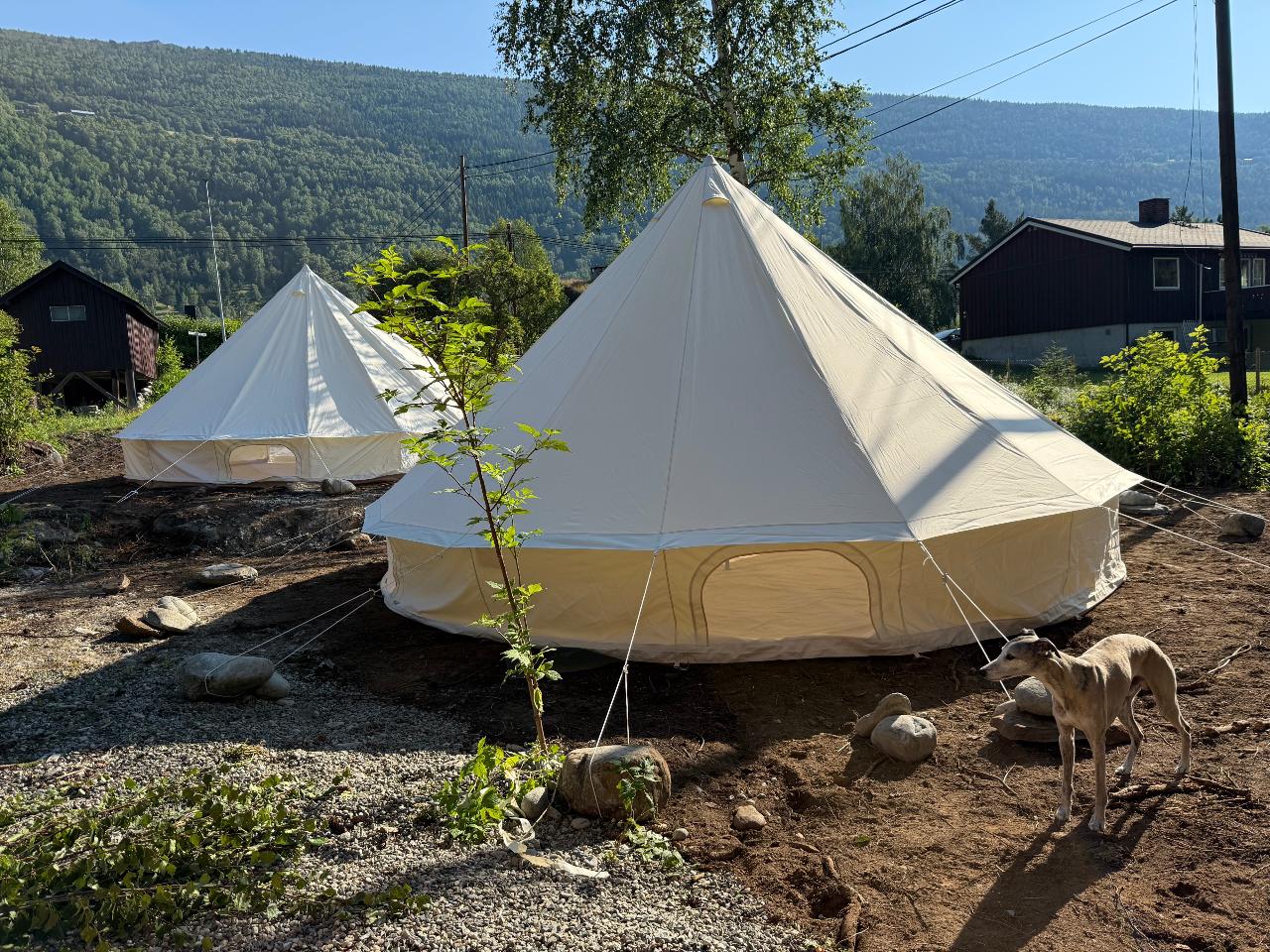 Lavvo Tent Rental at Mad Goats Sjoa - Heidal Valley, Norway 