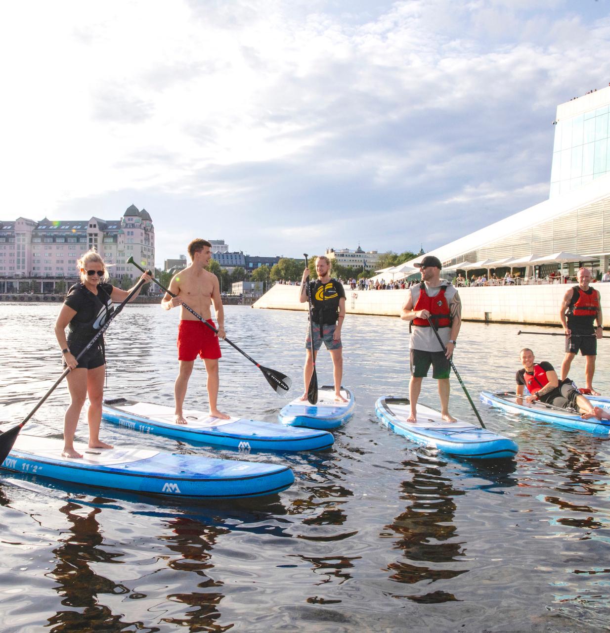 SUP Beginner Course & Tour - Private Group (Tjuvholmen)