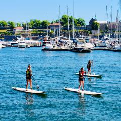Self-service Stand-up Paddle-board Rental - Tjuvholmen, Oslo