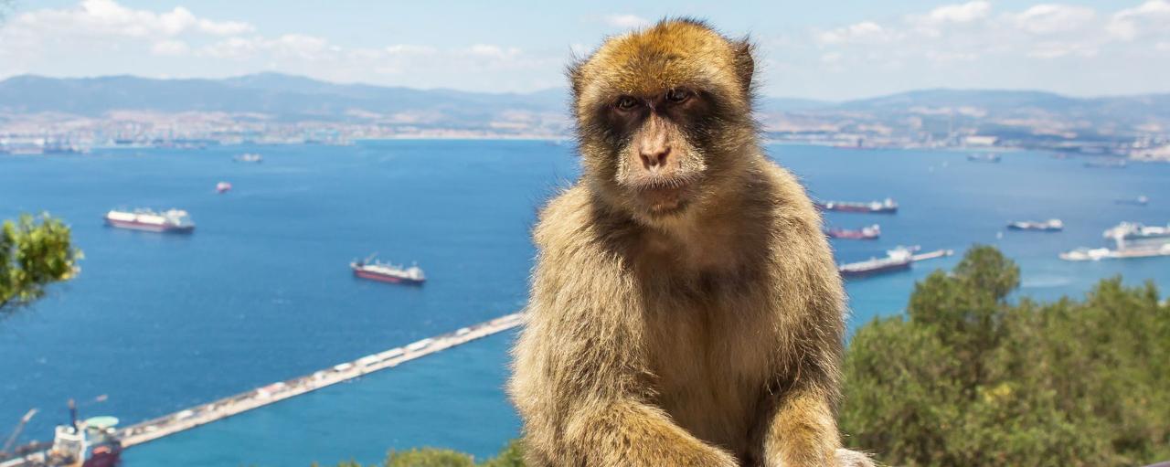 Actividades Turísticas en Nerja 