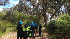 Kings Park Education Activity: Kings Park Cultural Walk  