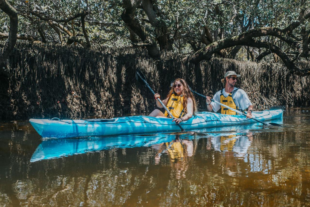 Dolphin Sanctuary Eco Kayak Tour -  Hire/Self Guided Double Kayak