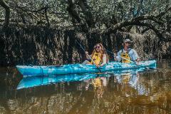 Dolphin Sanctuary Eco Kayak Tour - Self Guided Double Kayak