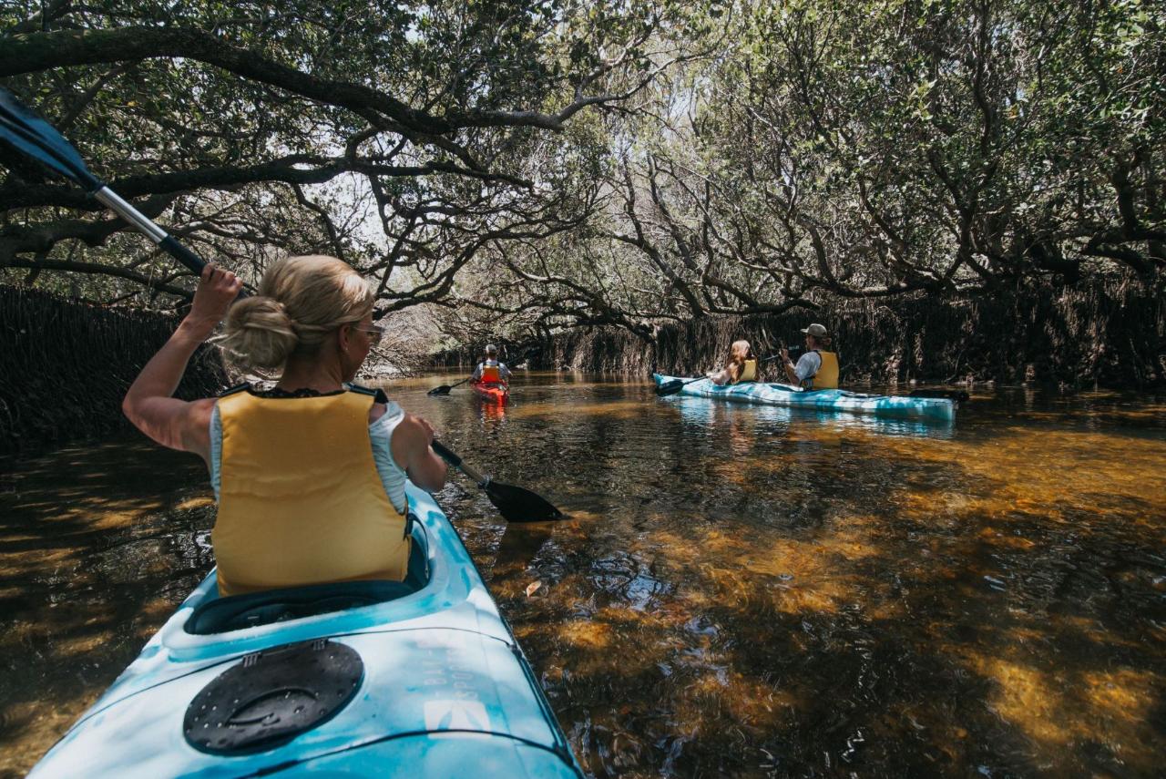 Dolphin Sanctuary Eco Kayak Tour - Self Guided Single Kayak