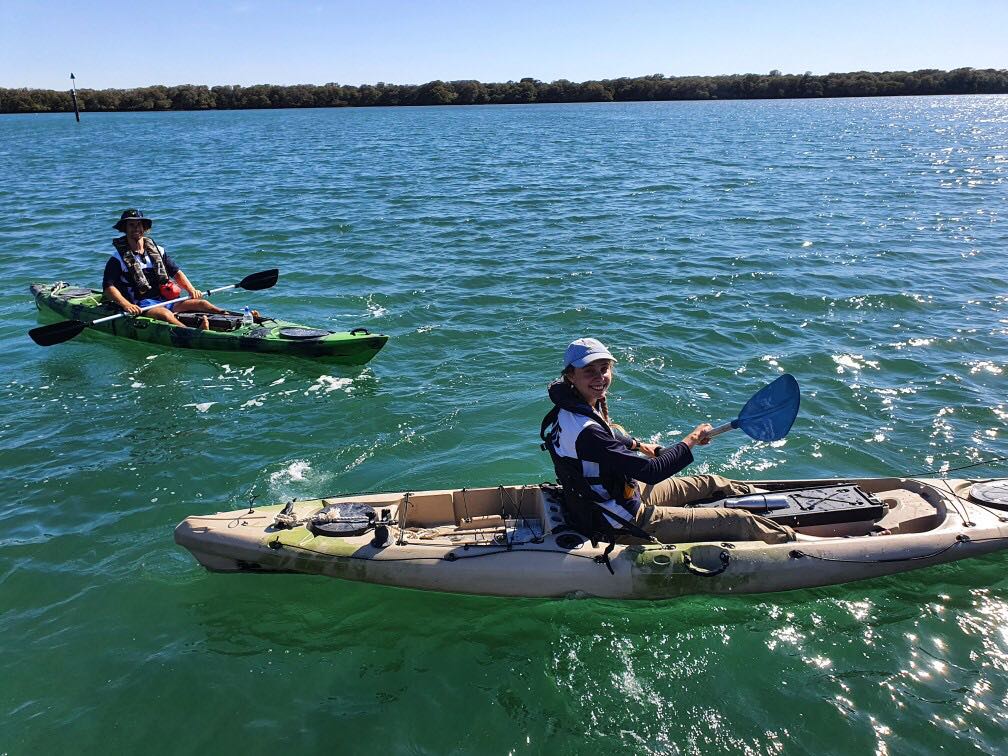 dolphin sanctuary kayak tours