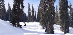 Ski Adventure in Kashmir - 10 Day / 9 Nights