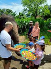Samui Elephant Kingdom Full visit