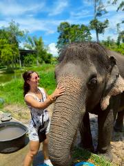 1 Hour Kingdon at Samui Elephant Kingdom