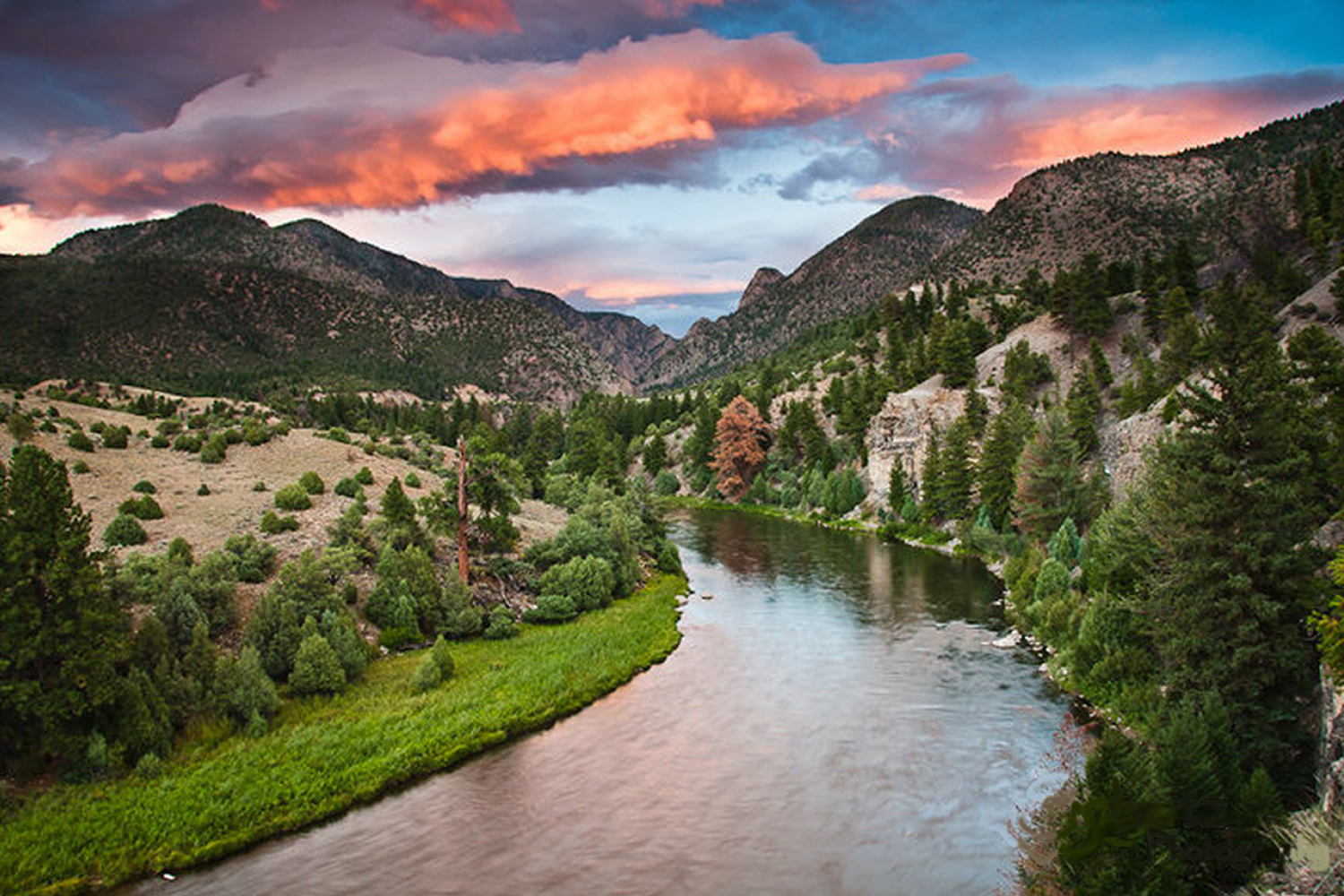 Colorado River - Upper Colorado Half Day