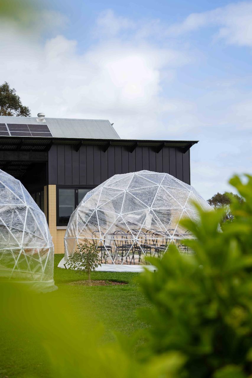 'Step Into Spring' Juniper Domes at Never Never