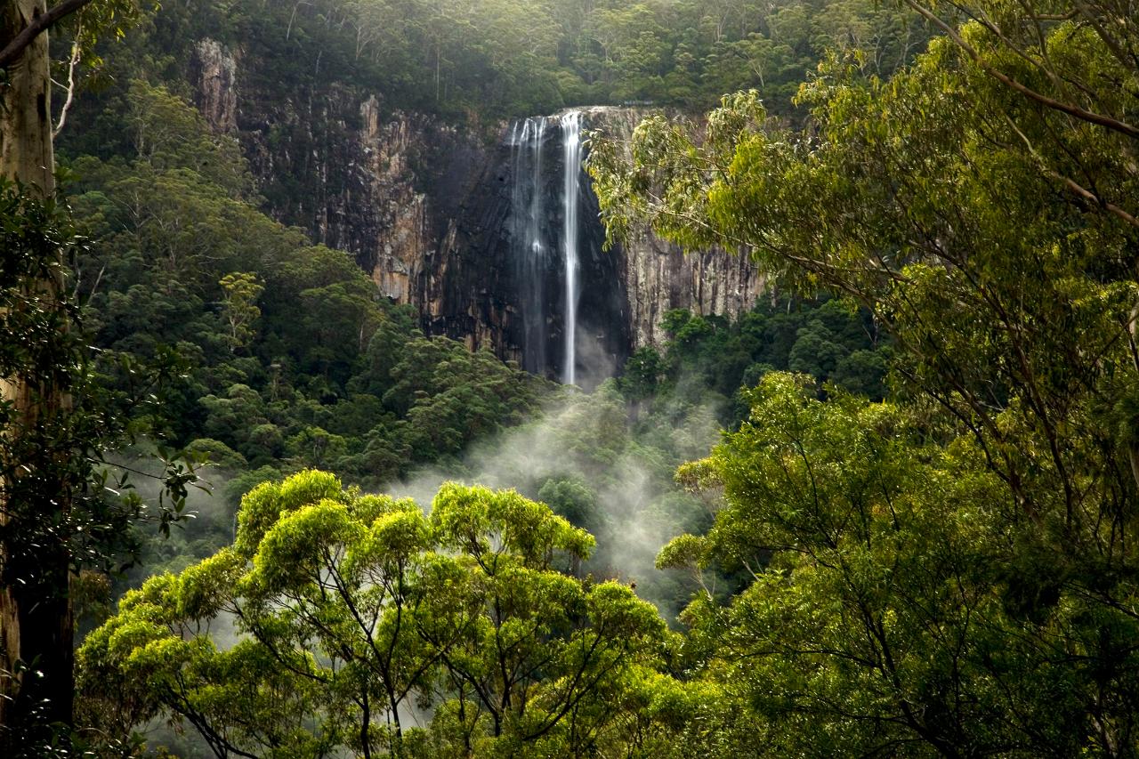 Rainforest Wellness Experience