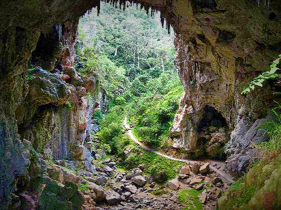 Jenolan Caves Blue Mountains 4WD Day Adventure + River cruise
