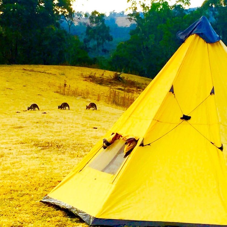 Blue Mountains Into The Wild Overnight Camping 4WD Off Road Wilderness Adventure