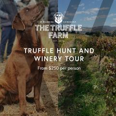 CANBERRA WINERY AND TRUFFLE TOUR