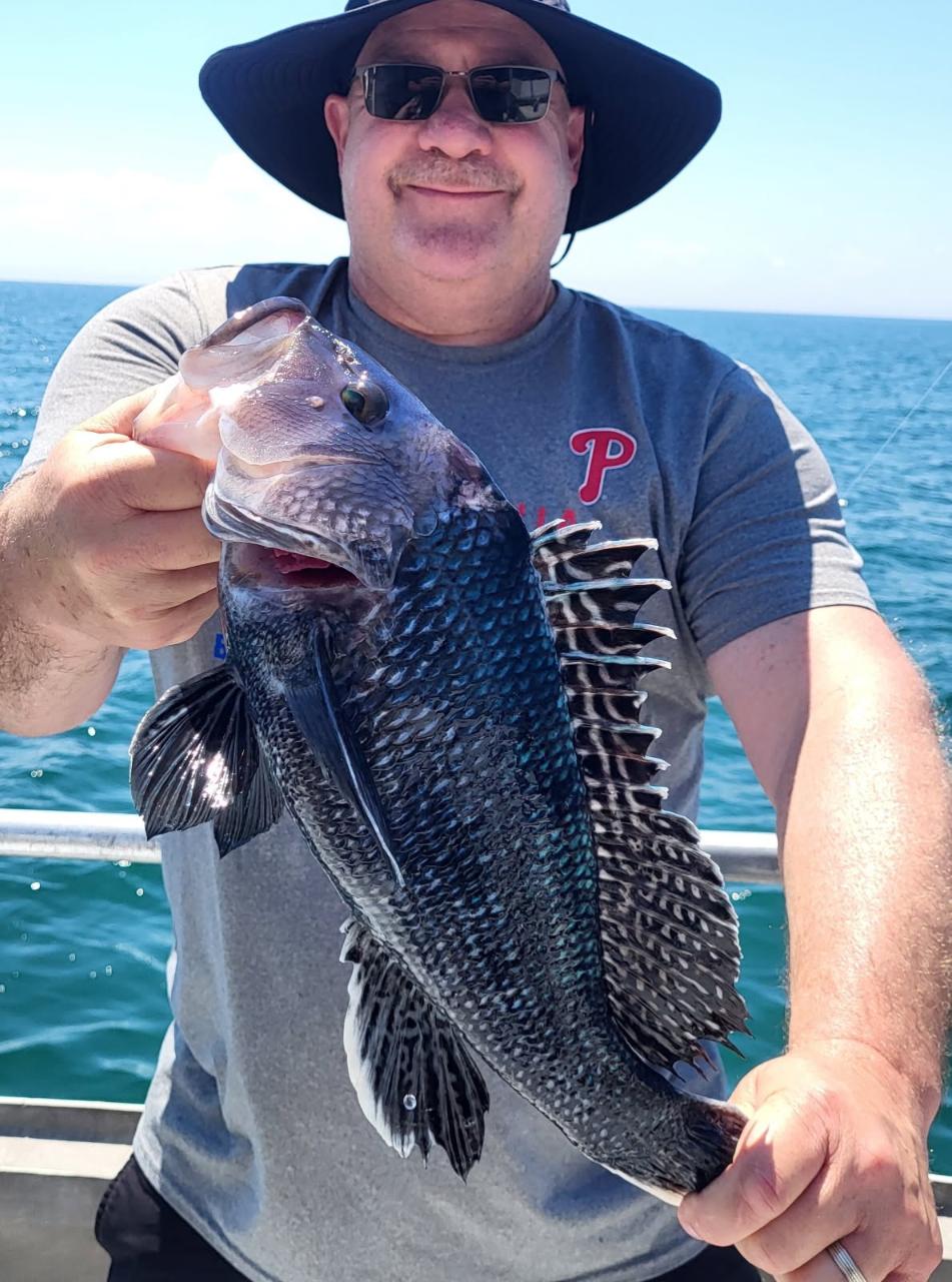 18 Hour Sea Bass