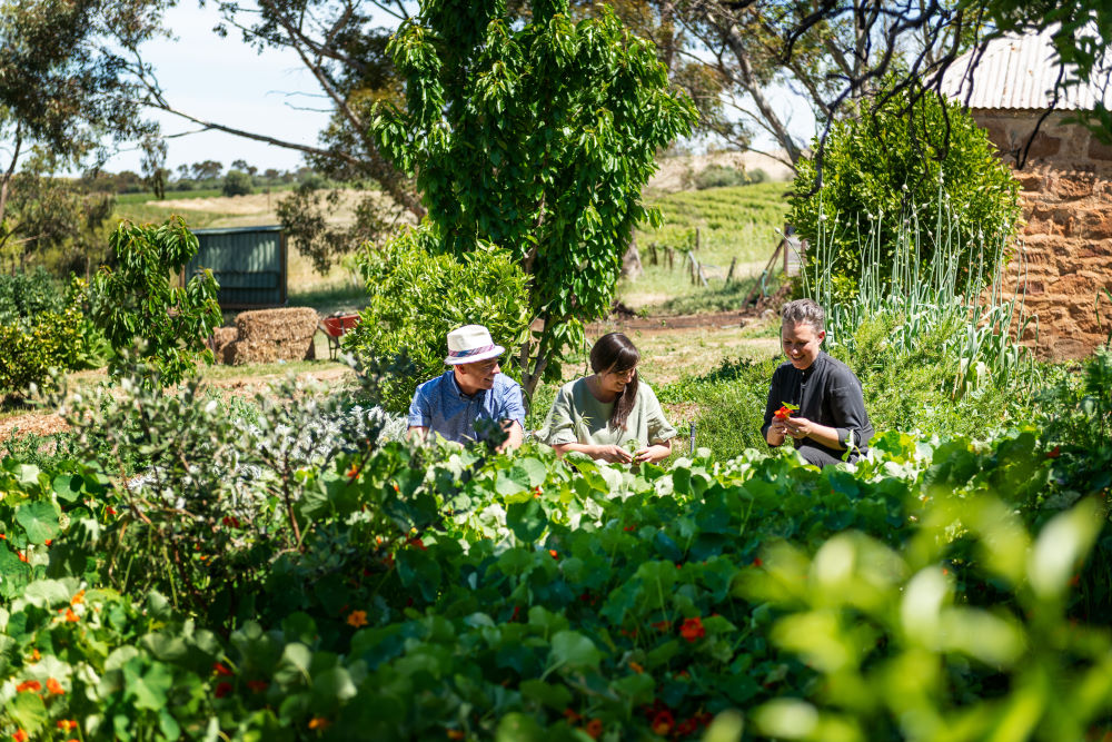 Six Senses Penobscot Farm Tour and Degustation Dinner