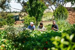 Six Senses Penobscot Farm Tour and Six Course Degustation Dinner