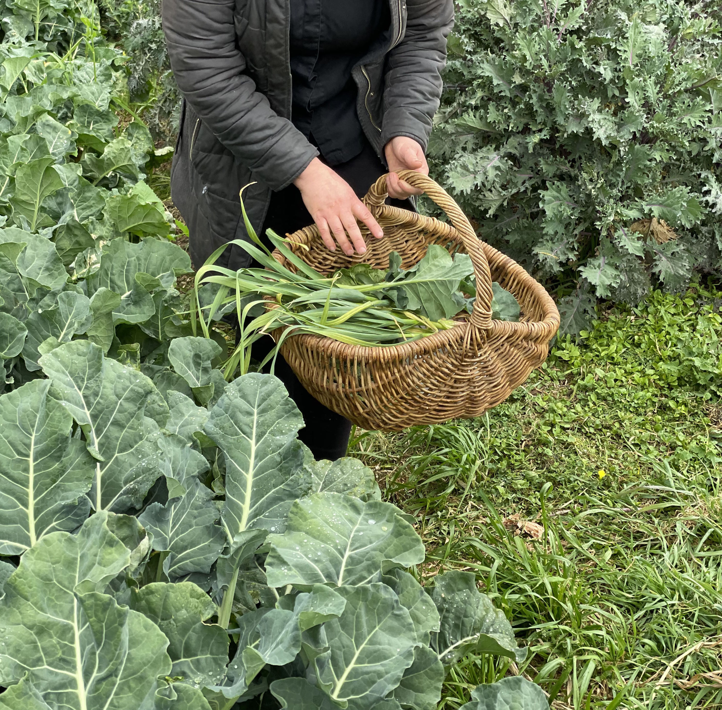 Cooking Masterclass – A Feast For The Senses