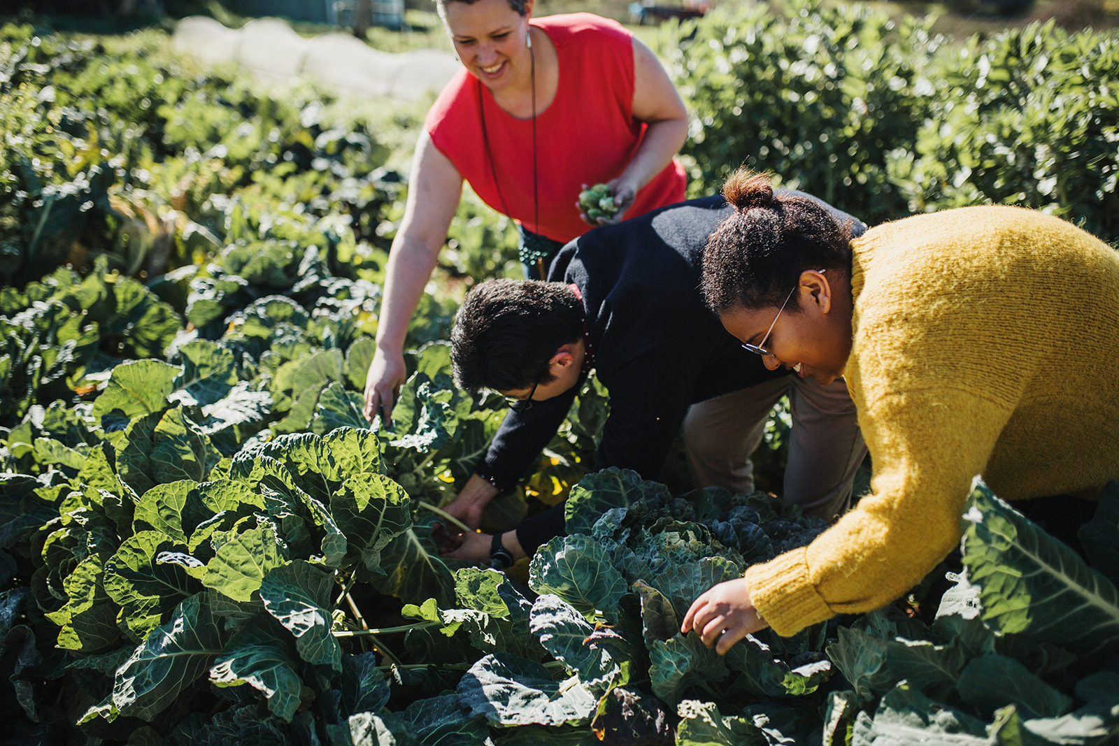 Cooking Masterclass – A Feast For The Senses