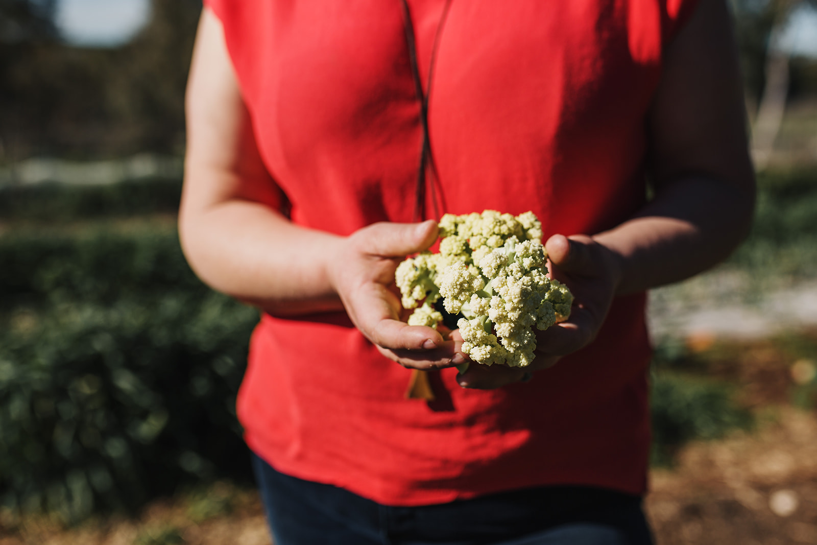 Cooking Masterclass – A Feast For The Senses