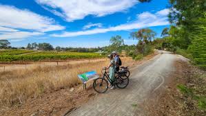 Watervale Riesling Trial full day e-bike ride